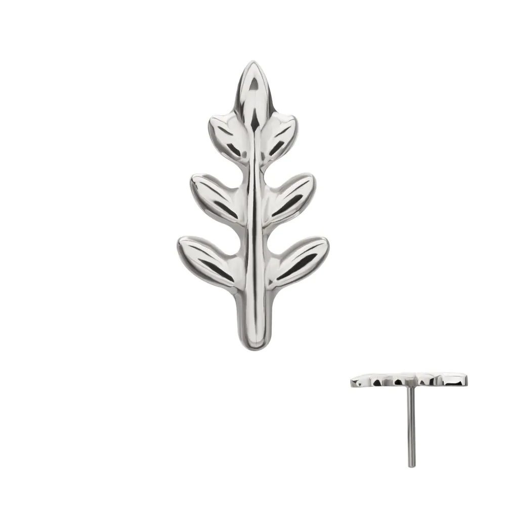 Fern Leaf